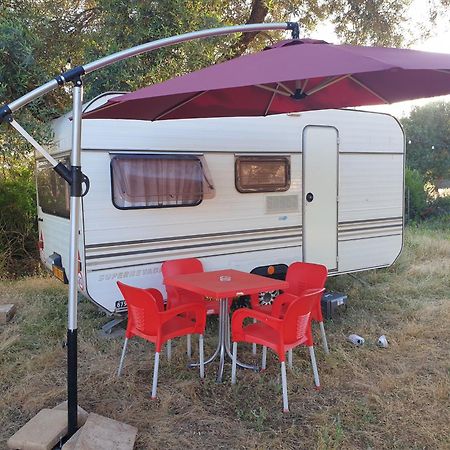 ホテル Aquariumi Jale Camping エクステリア 写真