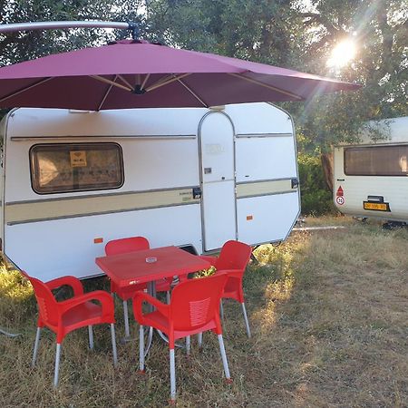 ホテル Aquariumi Jale Camping エクステリア 写真