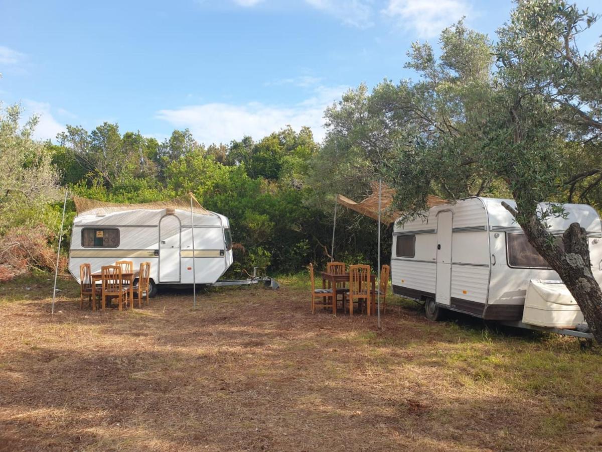 ホテル Aquariumi Jale Camping エクステリア 写真