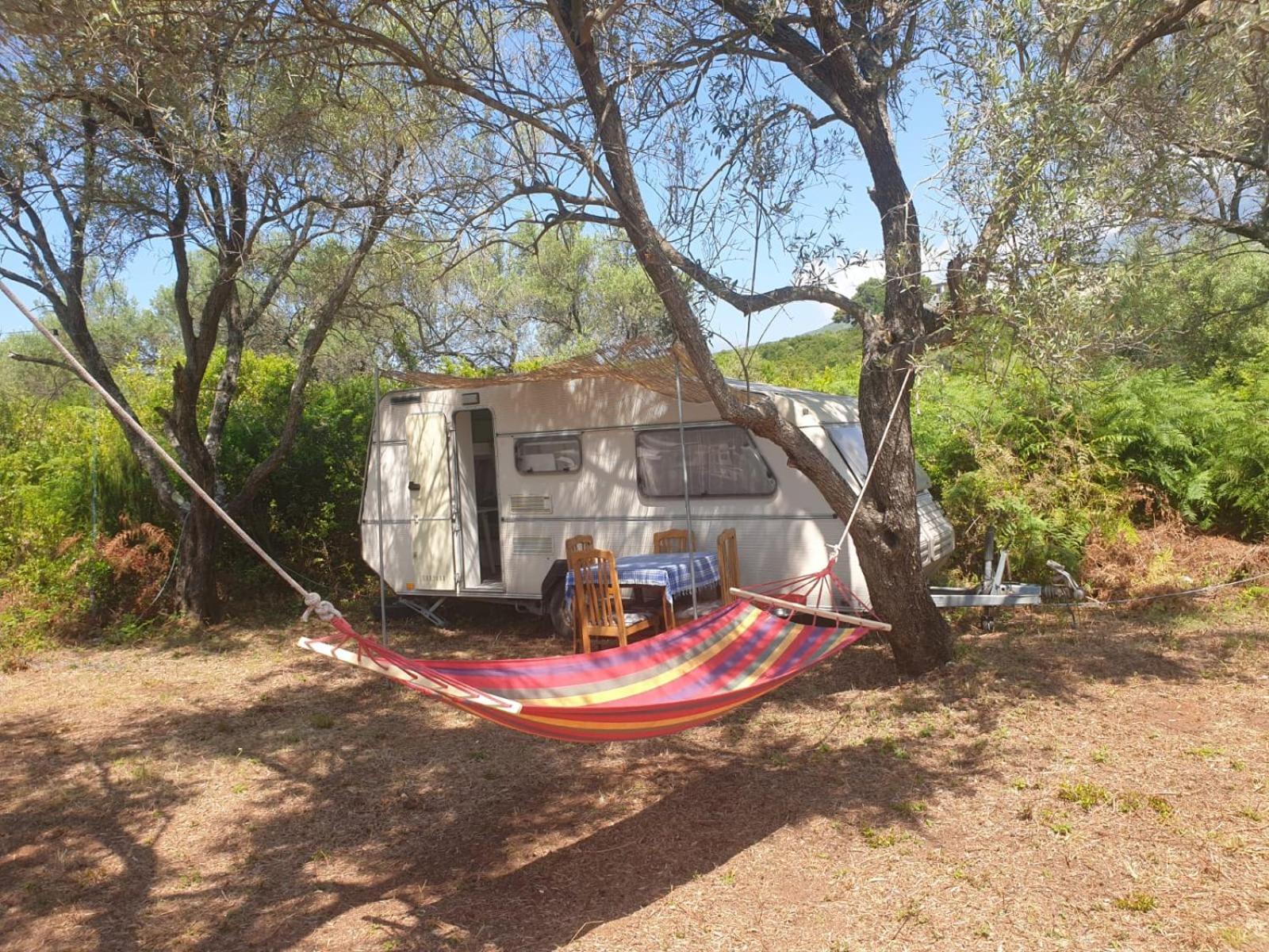 ホテル Aquariumi Jale Camping エクステリア 写真